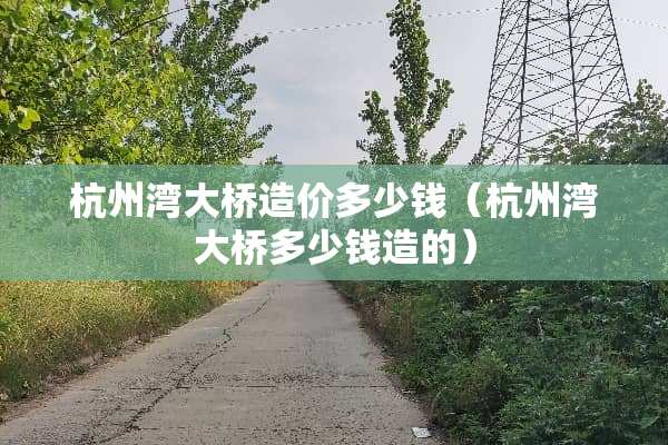杭州湾大桥造价多少钱（杭州湾大桥多少钱造的）