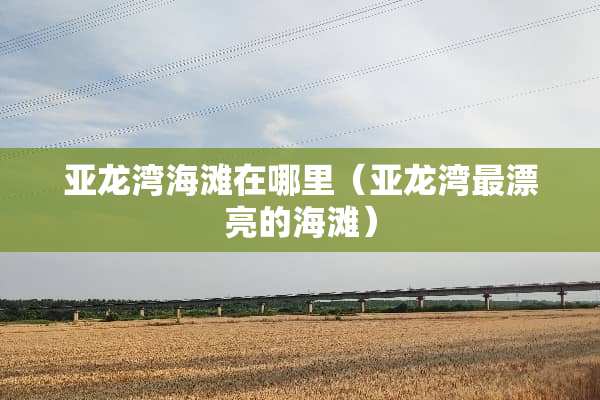 亚龙湾海滩在哪里（亚龙湾最漂亮的海滩）