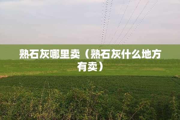 熟石灰哪里卖（熟石灰什么地方有卖）