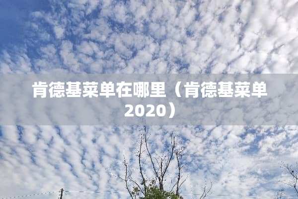 肯德基菜单在哪里（肯德基菜单2020）