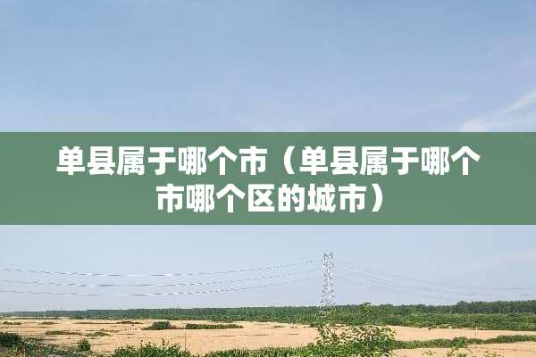 单县属于哪个市（单县属于哪个市哪个区的城市）