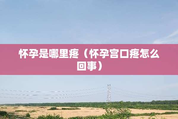 怀孕是哪里疼（怀孕宫口疼怎么回事）