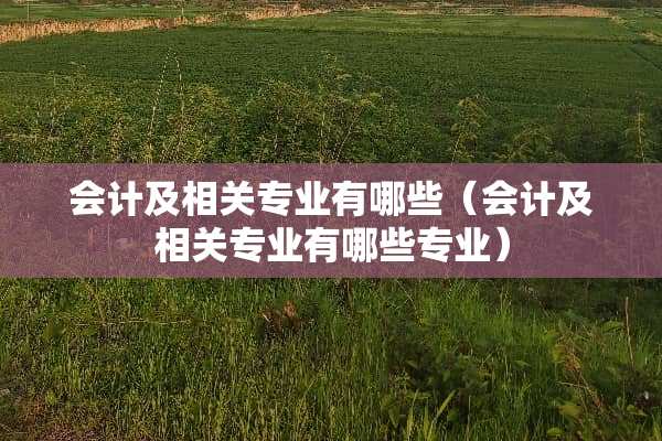 会计及相关专业有哪些（会计及相关专业有哪些专业）