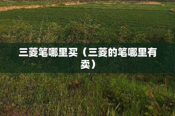 三菱笔哪里买（三菱的笔哪里有卖）