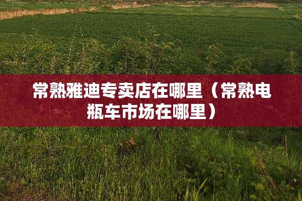 常熟雅迪专卖店在哪里（常熟电瓶车市场在哪里）