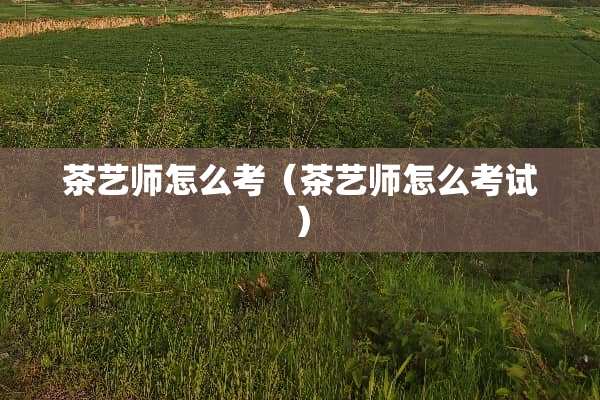 茶艺师怎么考（茶艺师怎么考试）