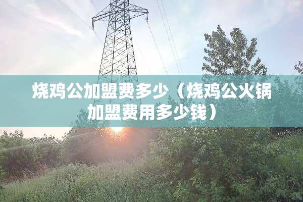 烧鸡公加盟费多少（烧鸡公火锅加盟费用多少钱）