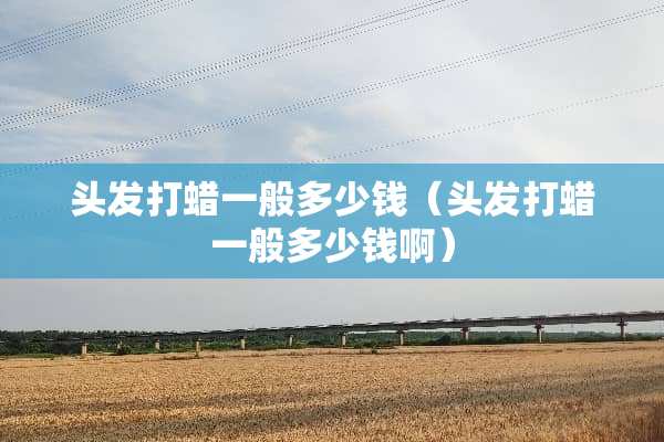 头发打蜡一般多少钱（头发打蜡一般多少钱啊）