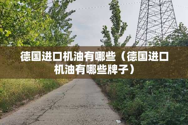 德国进口机油有哪些（德国进口机油有哪些牌子）