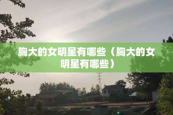 胸大的女明星有哪些（胸大的女明星有哪些）