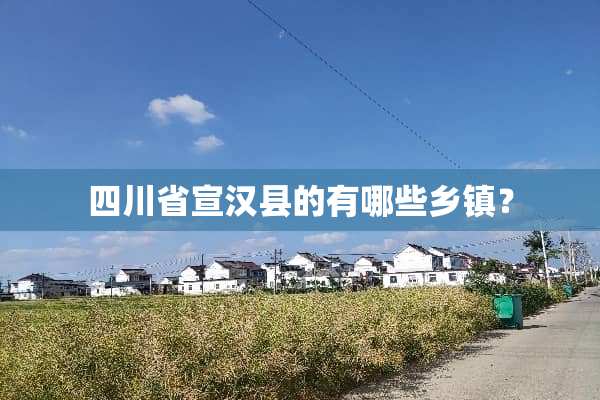 四川省宣汉县的有哪些乡镇？