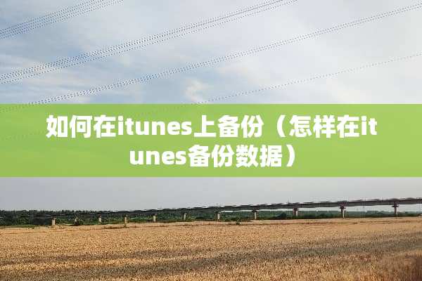 如何在itunes上备份（怎样在itunes备份数据）