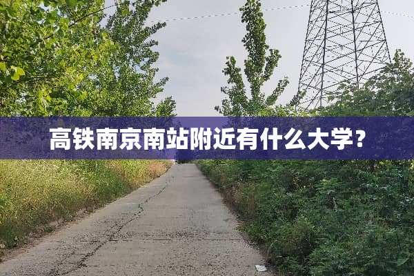 高铁南京南站附近有什么大学？