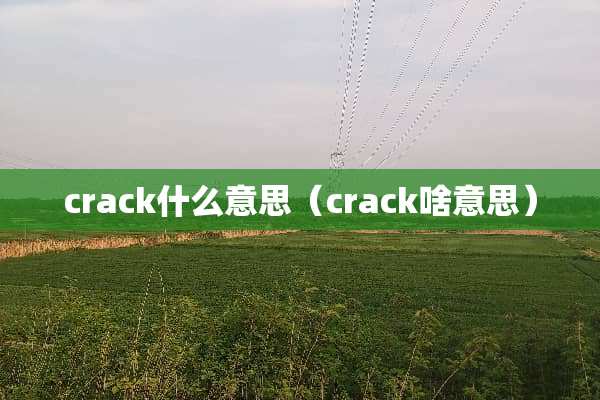 crack什么意思（crack啥意思）