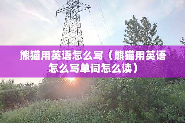熊猫用英语怎么写（熊猫用英语怎么写单词怎么读）