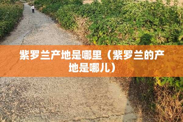 紫罗兰产地是哪里（紫罗兰的产地是哪儿）