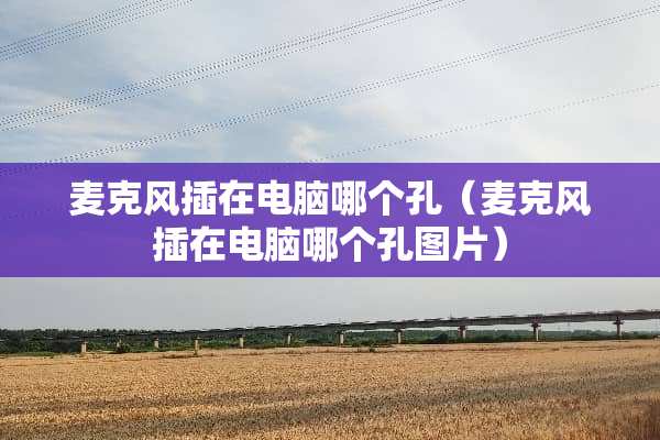 麦克风插在电脑哪个孔（麦克风插在电脑哪个孔图片）