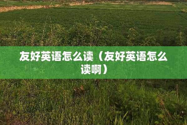 友好英语怎么读（友好英语怎么读啊）