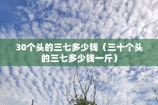 30个头的三七多少钱（三十个头的三七多少钱一斤）