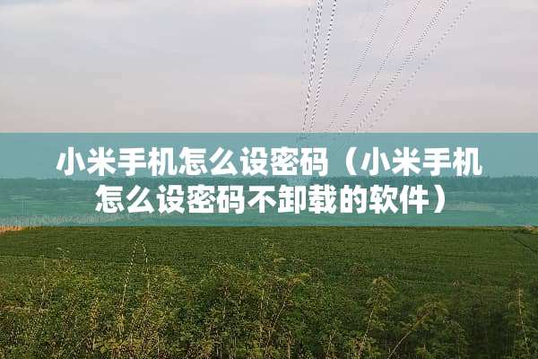小米手机怎么设密码（小米手机怎么设密码不卸载的软件）