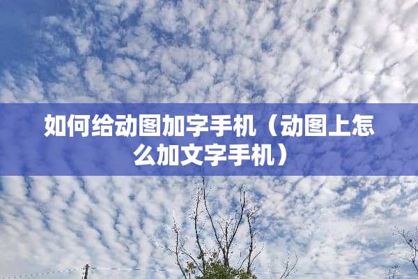 如何给动图加字手机（动图上怎么加文字手机）