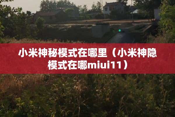 小米神秘模式在哪里（小米神隐模式在哪miui11）