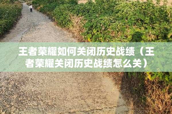 王者荣耀如何关闭历史战绩（王者荣耀关闭历史战绩怎么关）