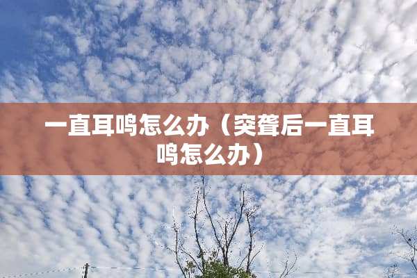 一直耳鸣怎么办（突聋后一直耳鸣怎么办）
