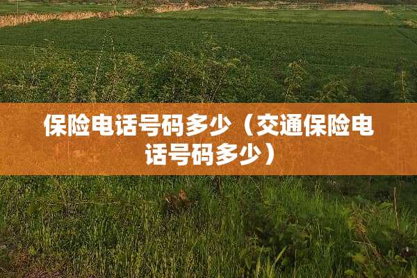保险电话号码多少（交通保险电话号码多少）