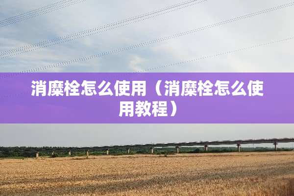 消糜栓怎么使用（消糜栓怎么使用教程）