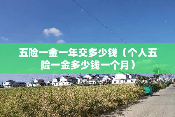 五险一金一年交多少钱（个人五险一金多少钱一个月）