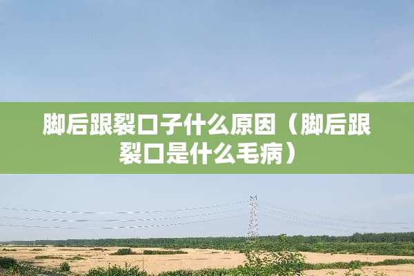 脚后跟裂口子什么原因（脚后跟裂口是什么毛病）