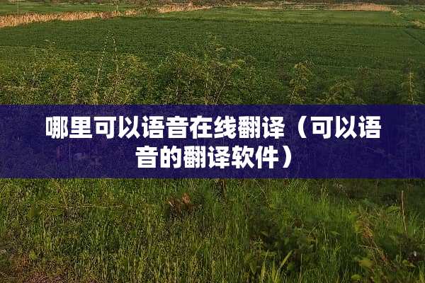 哪里可以语音在线翻译（可以语音的翻译软件）