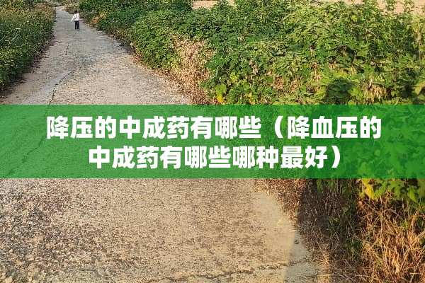 降压的中成药有哪些（降血压的中成药有哪些哪种最好）