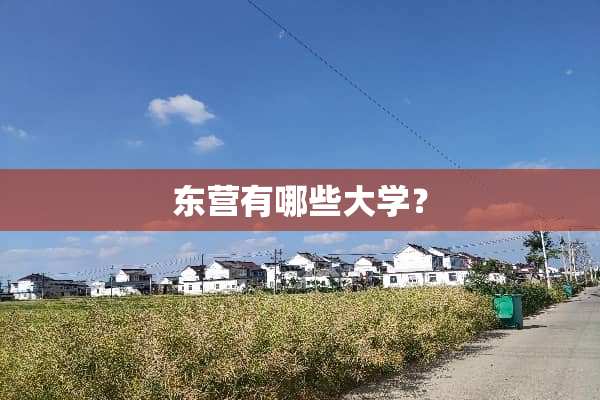 东营有哪些大学？