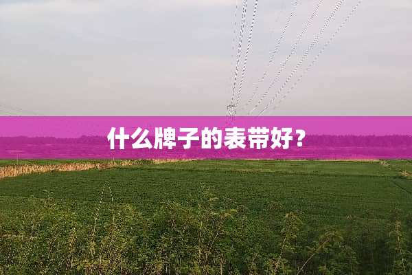什么牌子的表带好？