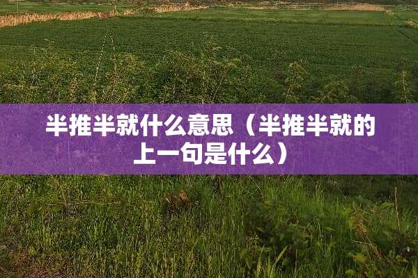 半推半就什么意思（半推半就的上一句是什么）