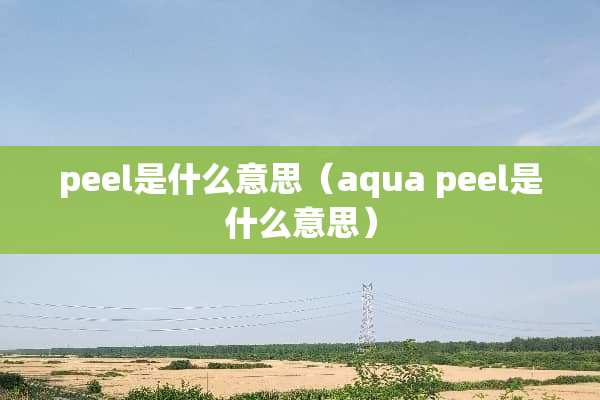 peel是什么意思（aqua peel是什么意思）