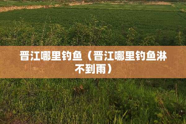晋江哪里钓鱼（晋江哪里钓鱼淋不到雨）