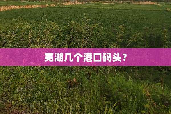 芜湖几个港口码头？