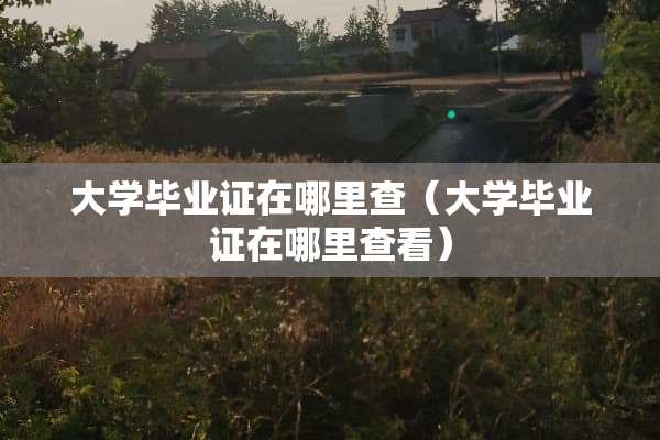 大学***在哪里查（大学***在哪里查看）