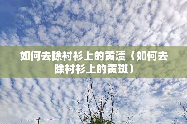如何去除衬衫上的黄渍（如何去除衬衫上的黄斑）