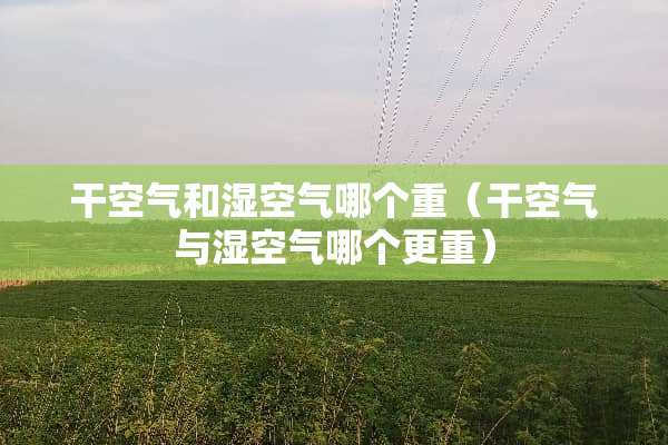 干空气和湿空气哪个重（干空气与湿空气哪个更重）