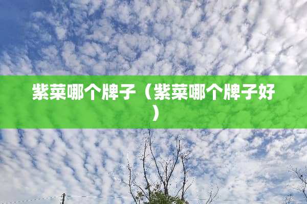 紫菜哪个牌子（紫菜哪个牌子好）