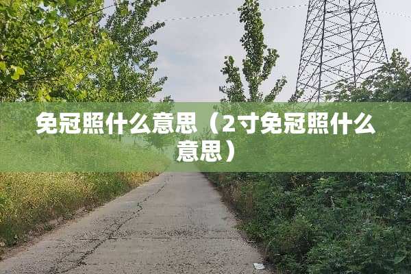 免冠照什么意思（2寸免冠照什么意思）