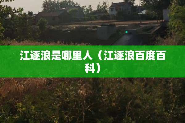 江逐浪是哪里人（江逐浪百度百科）