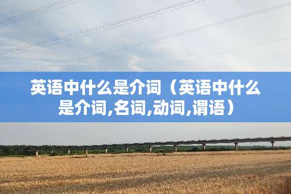 英语中什么是介词（英语中什么是介词,名词,动词,谓语）