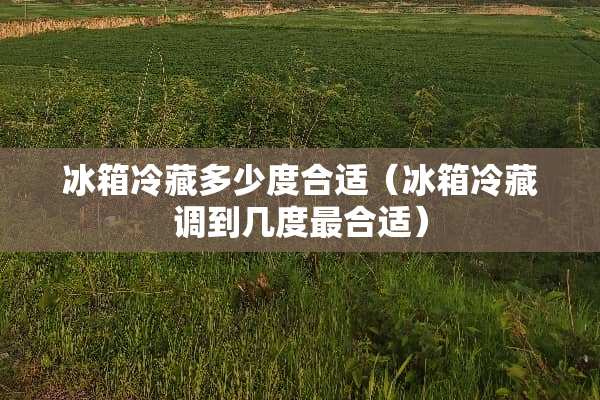 冰箱冷藏多少度合适（冰箱冷藏调到几度最合适）