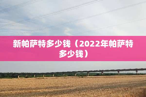 新***多少钱（2022年***多少钱）