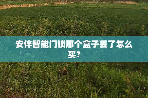 安伴智能门锁那个盒子丢了怎么买？